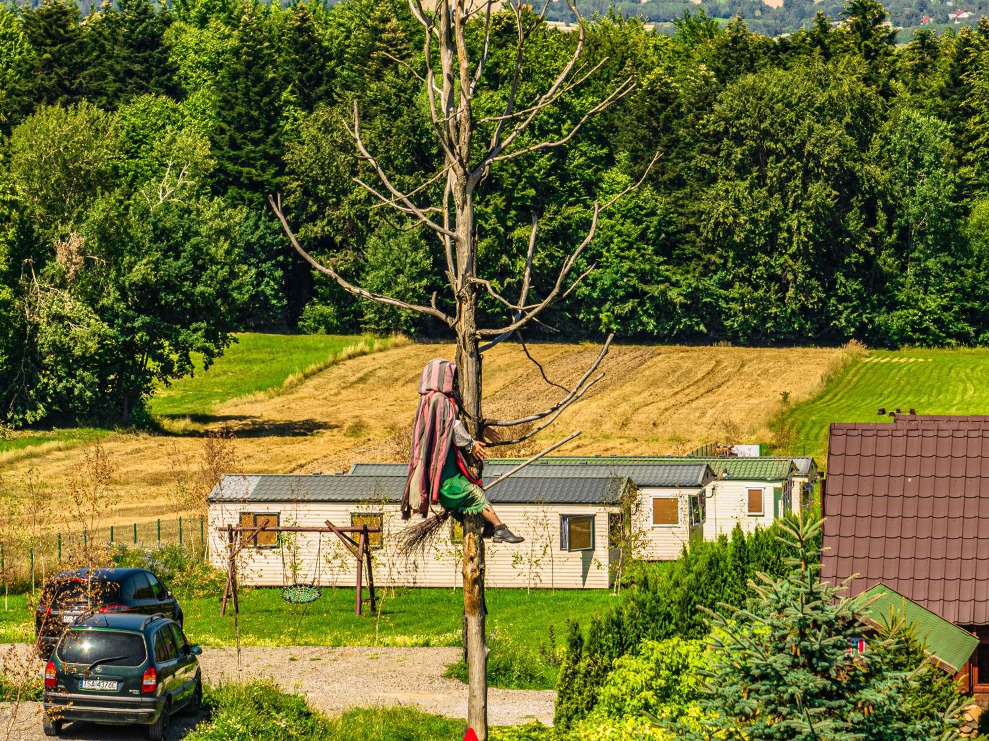 Siedlisko Carownica Family & Wellness Villa Lechów Eksteriør bilde